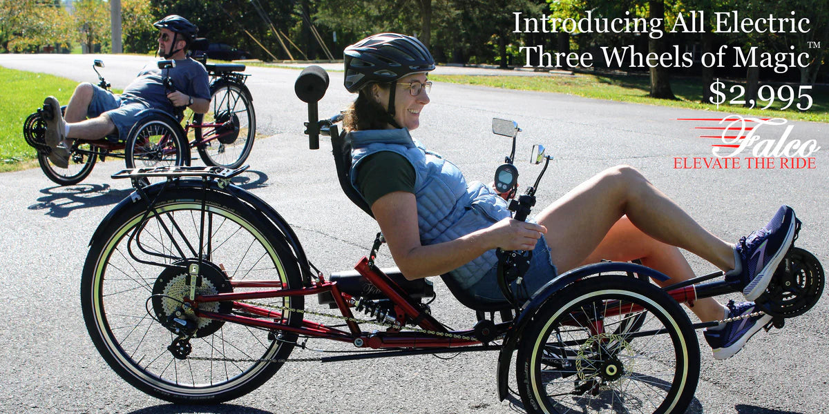 Three Wheels of Magic - All Electric Recumbent Trike