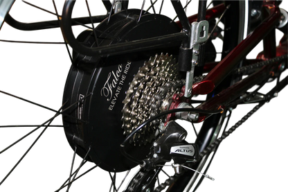 Three Wheels of Magic - All Electric Recumbent Trike